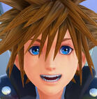 sora